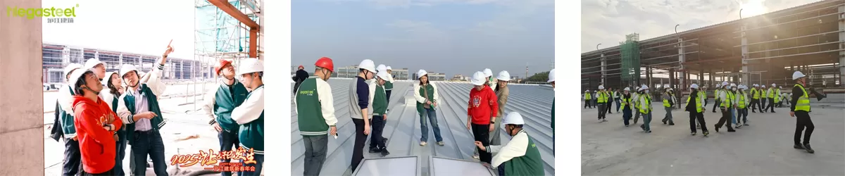 2025 MAKE DREAMS BLOSSOM INTO REALITY | MEGASTEEL SPRING FESTIVAL ANNUAL PARTY