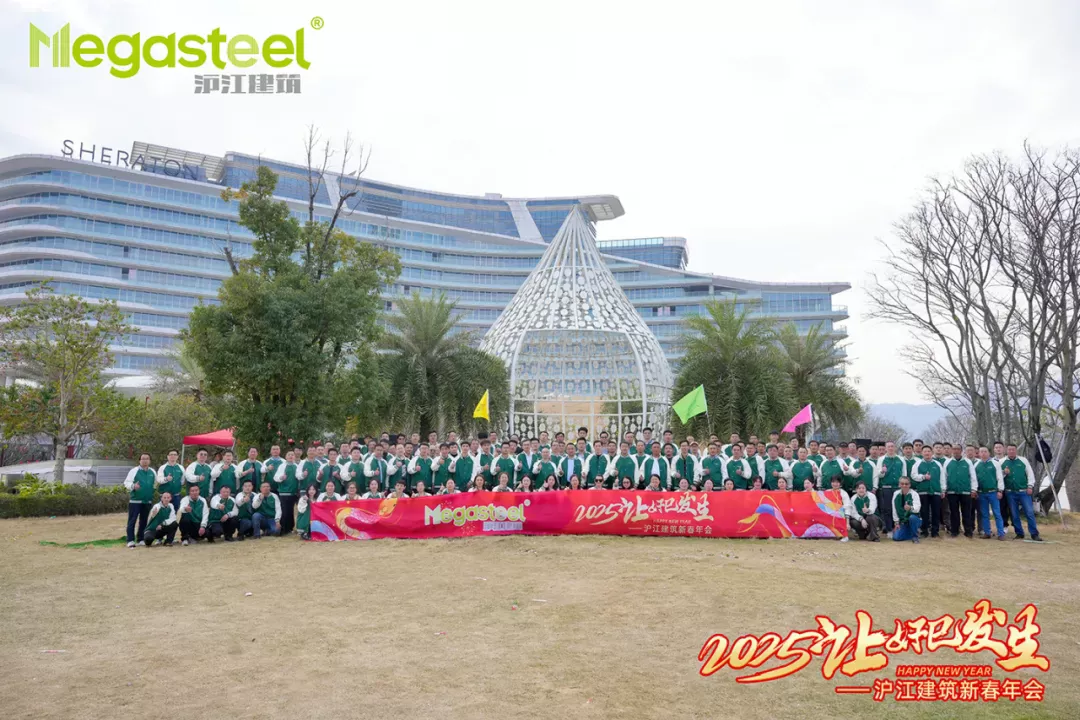 2025 MAKE DREAMS BLOSSOM INTO REALITY | MEGASTEEL SPRING FESTIVAL ANNUAL PARTY