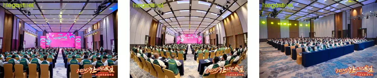 2025 MAKE DREAMS BLOSSOM INTO REALITY | MEGASTEEL SPRING FESTIVAL ANNUAL PARTY