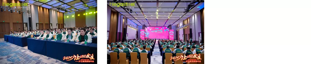 2025 MAKE DREAMS BLOSSOM INTO REALITY | MEGASTEEL SPRING FESTIVAL ANNUAL PARTY