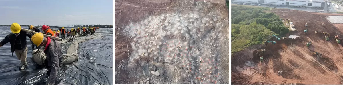 The ''flying Flowers'' Ascend With The Breeze, And The Artistry Weaves A Poem Of Its Own.